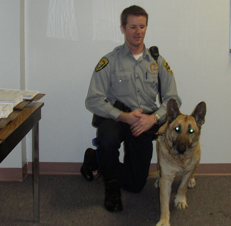 k-9_2